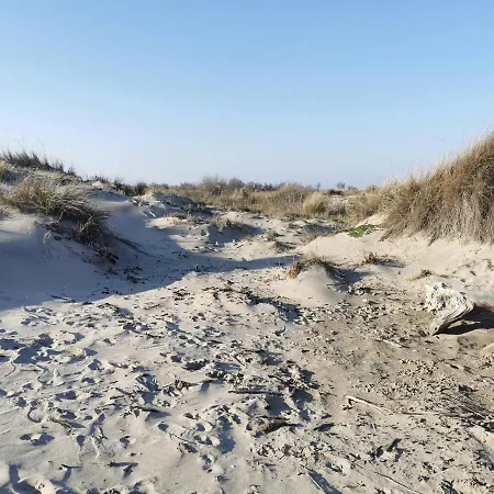 Plages De Camargue Et Dans Un Site Calme De Reve Arles