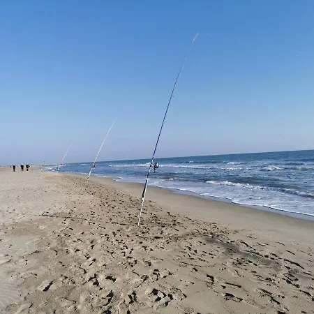 Plages De Camargue Et Dans Un Site Calme De Reve Apartment Arles