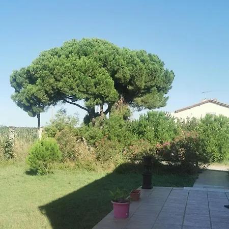 Apartment Plages De Camargue Et Dans Un Site Calme De Reve *
